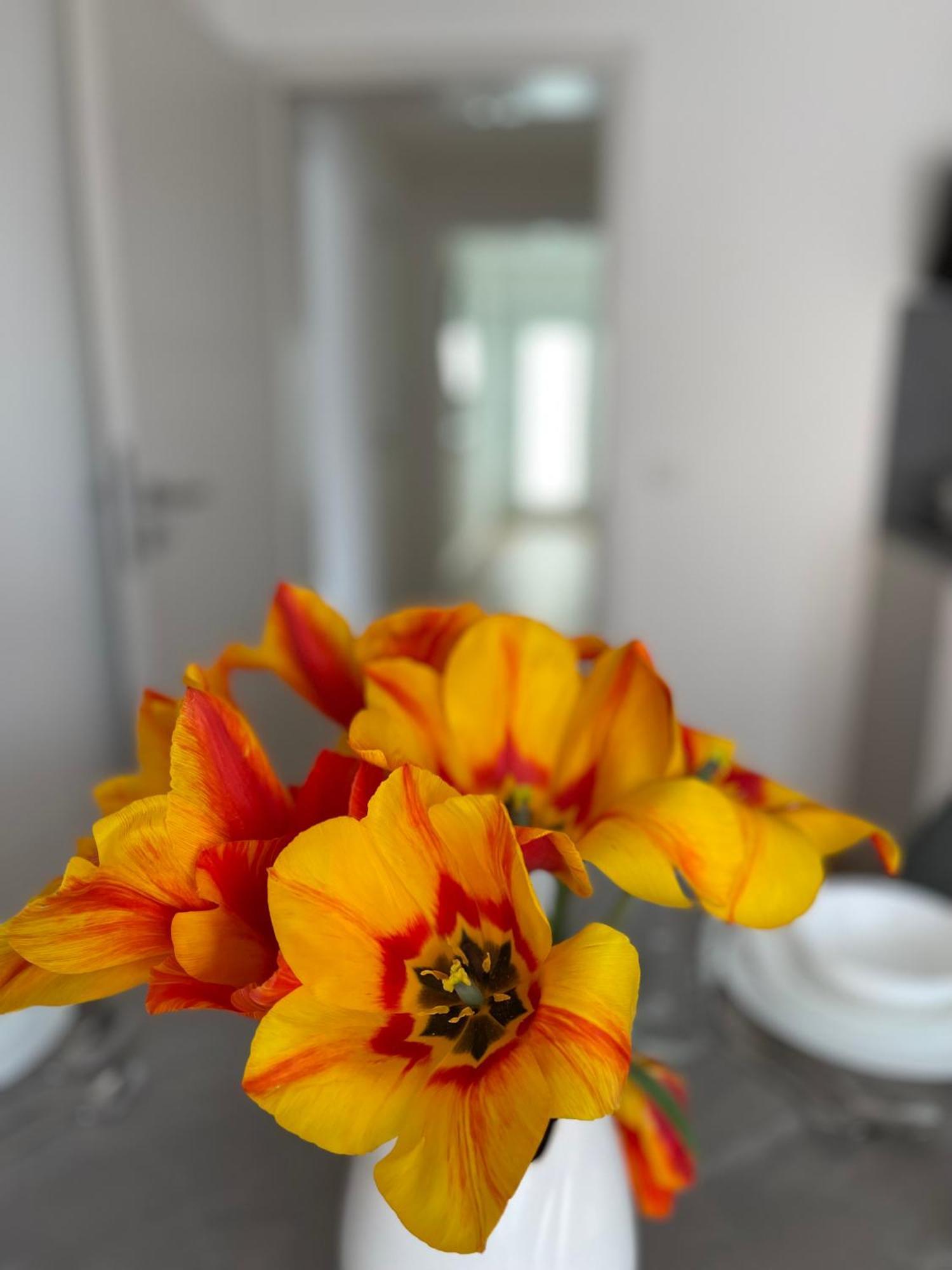 Casa Estella 러스트 외부 사진